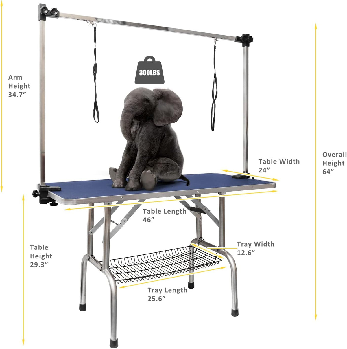 ROOMTEC 46" Dog Grooming Table - Blue / 46in - image 2
