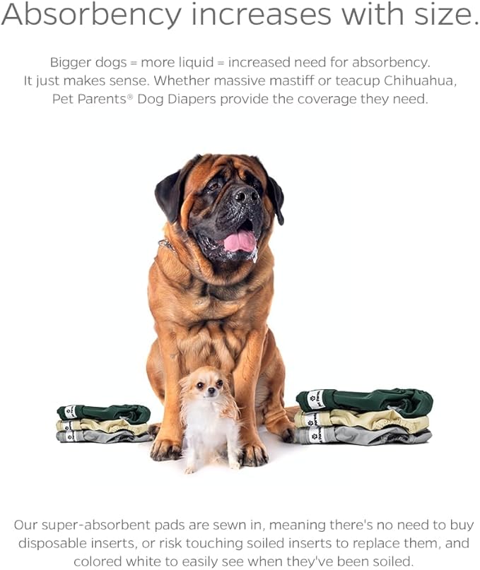 Pet Parents® Washable Dog Diapers (3pack) + Extendrs® of Durable Doggie Diapers, Premium Dog Diapers Female (X-Large, Spruce)
