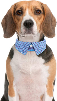 Faleela Soft &Comfy Bowtie Dog Collar - Medium (Pack of 1) / Blue Plain-B - image 3
