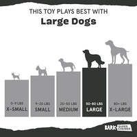 Barkbox Super Chewer Tough Dog Chew Toys for Aggressive Chewers, Plush 2 Toys in 1 (Parrot - Large)
