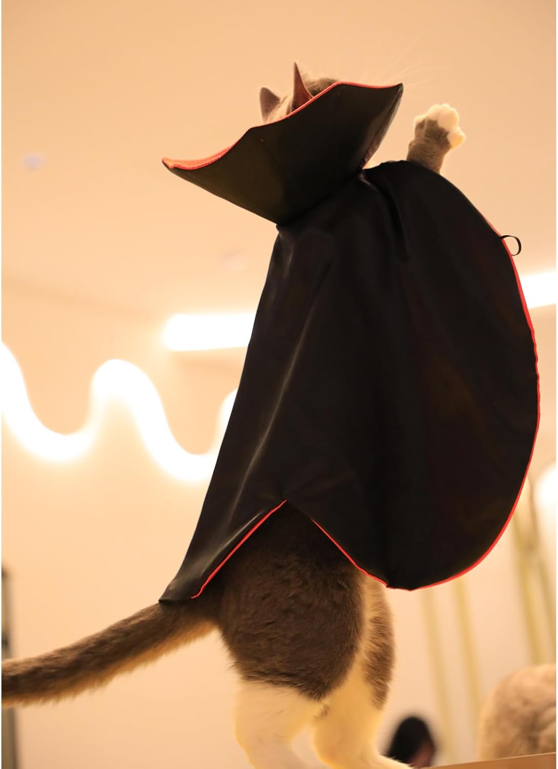 Dog Cat Vampire Cloak Costume for Small Medium Large Dogs Cats - Small - image 4