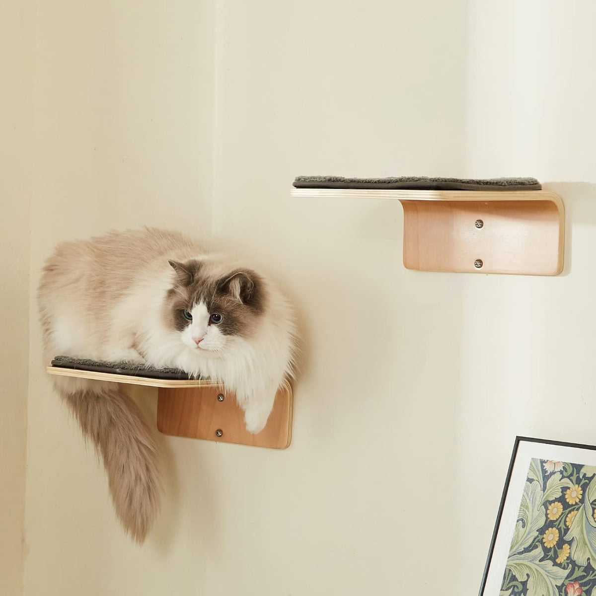 2 Set Cat Wall Steps, Wooden Cat Climbing Shelf for Wall - Steps - image 3
