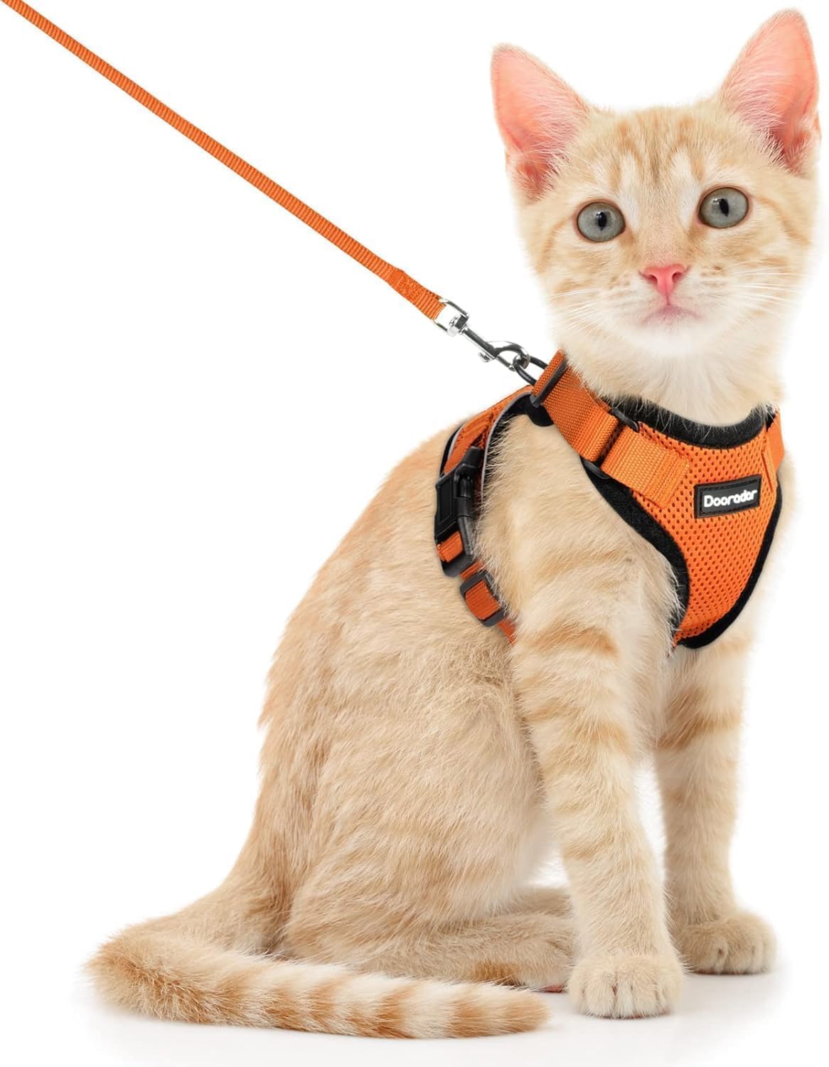 Cat Harness and Leash Set, Adjustable and Escape Proof - Orange / Xs
