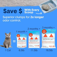 Boxie® Extra Strength Cat Litter, Lightweight 35-Day Odor Control, Clumping, 6.5lb
