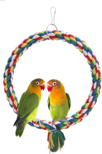 Wontee Bird Swing Colorful Rope Perch Climbing Toy for Parrots – Essentials for Birds - Small (7.5 inch)