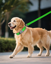Joytale Reflective Dog Collar for Large Dogs with Wide Padding - Green / XL - image 4