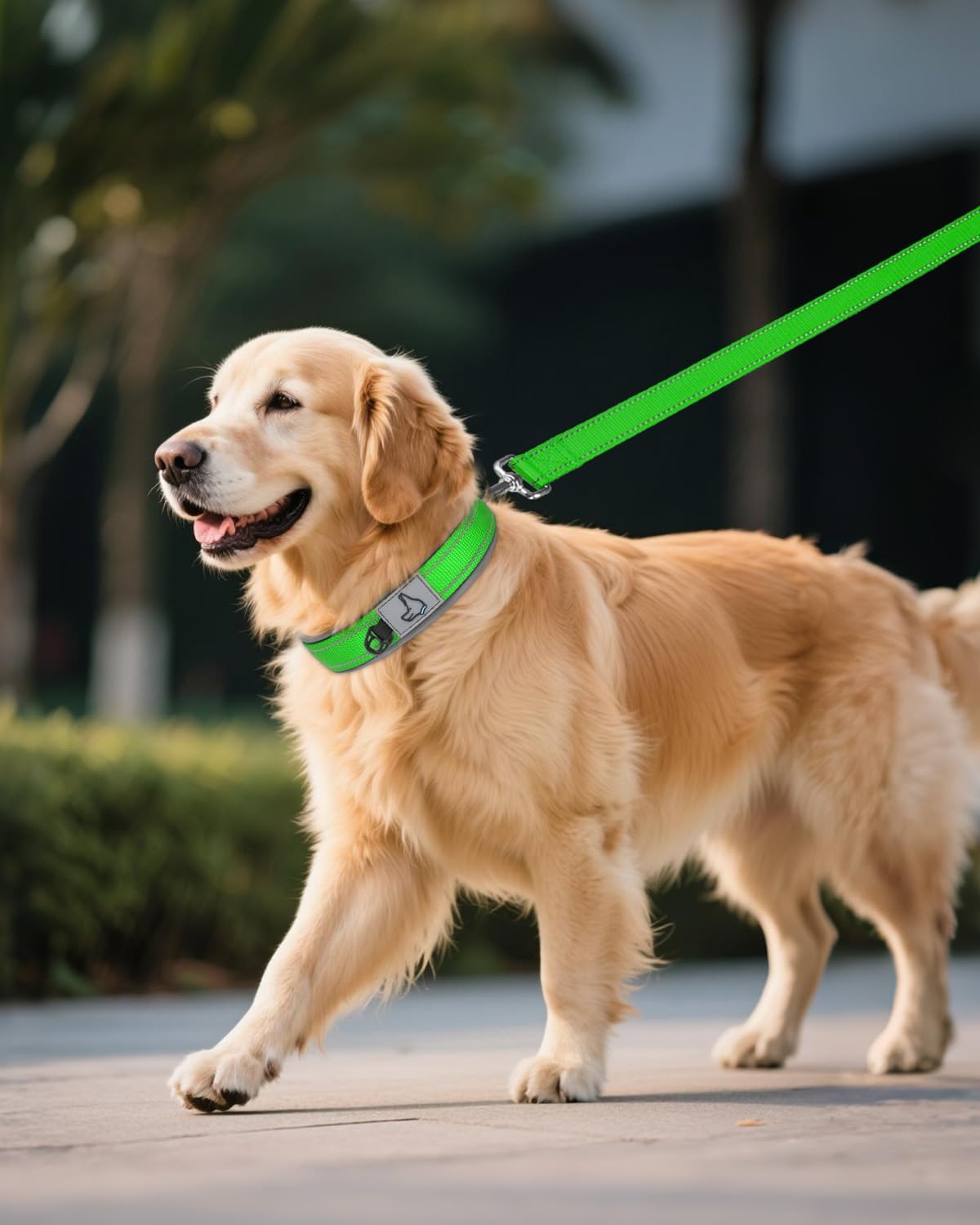 Joytale Reflective Dog Collar for Large Dogs with Wide Padding - Green / XL - image 4