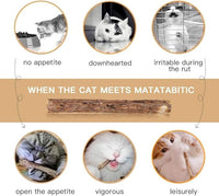 10 PCS Cat Catnip Sticks, Natural Matatabi Silvervine Sticks - Cleaning Teeth Molar Tools Kitten Chew Toy Natural Catnip Cats Toy