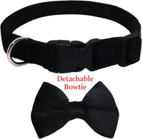 Dog Collar with Bowtie Soft Velvet Material with Quick Release Buckle - M / Black - image 4