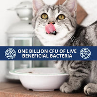 Under the Weather Pet Probiotics Powder for Cats | Vet Formulated Probiotic Supplement for Digestive Gut Health | Promotes Good Digestion & Immunity | Aids Occasional Diarrhea for Cats (2.54 Oz)