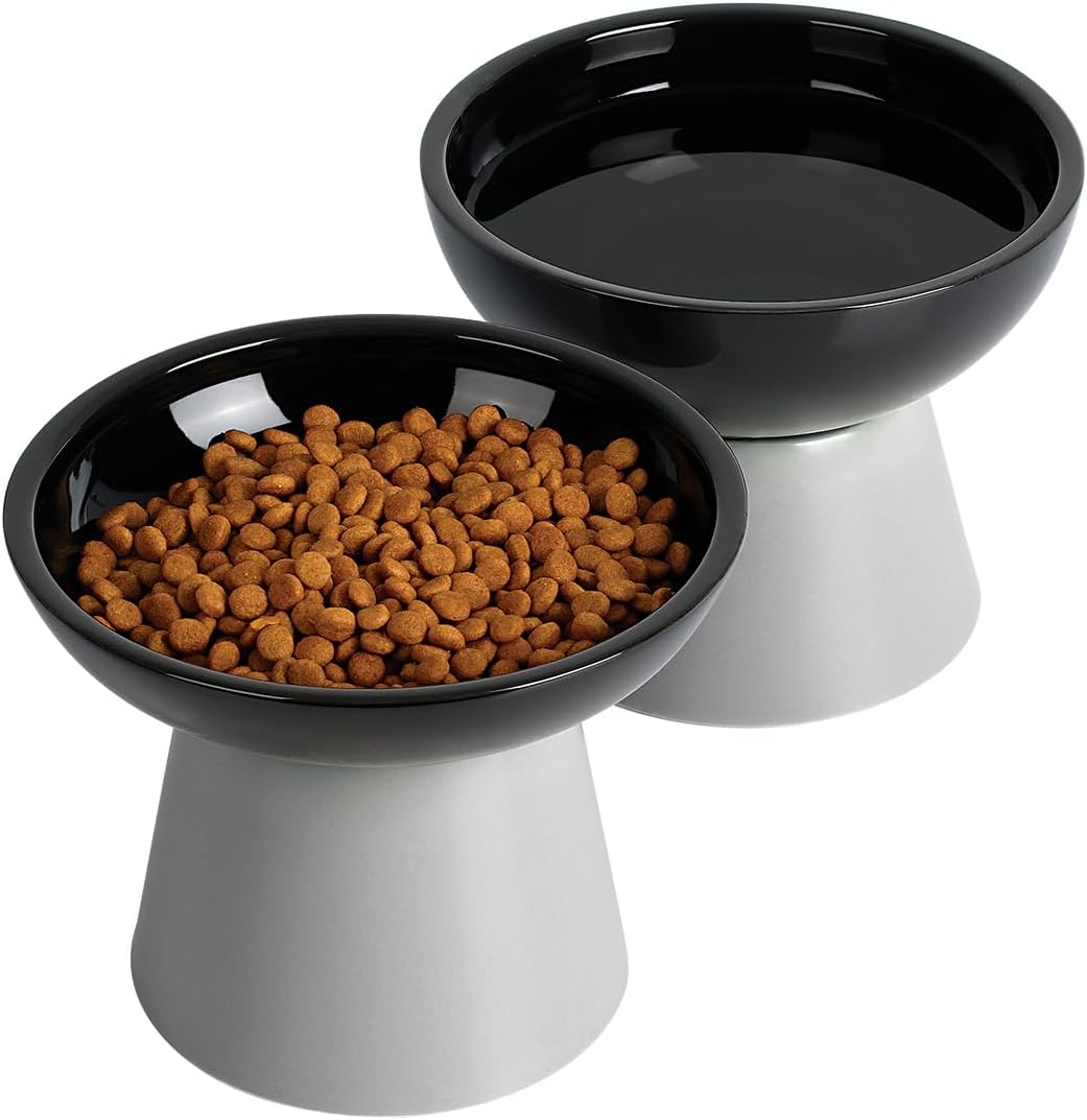 Elevated Cat Food and Water Bowls Set - 2 Pack (Food & Water Bowls) / Black