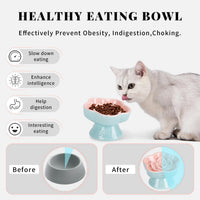 S&Q's CERAMICS Raised Slow Feeder Cat Bowl - 5.8" / Pink - image 3