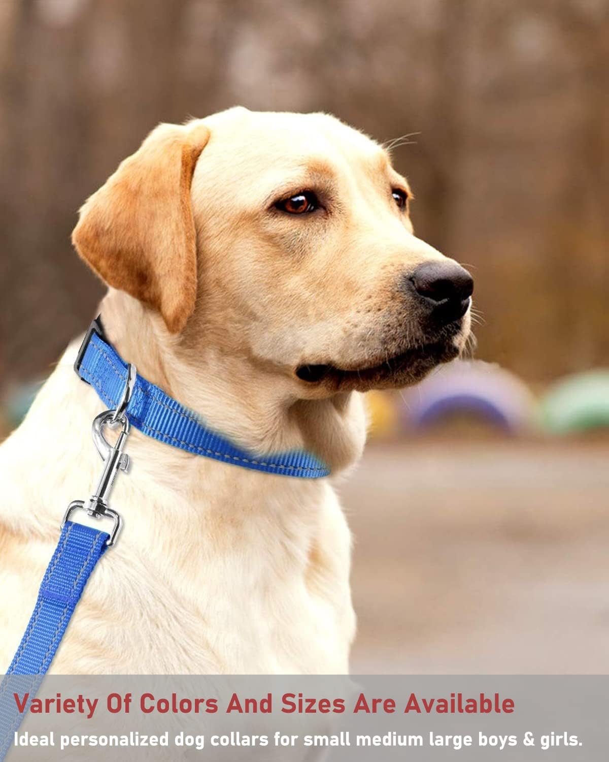 Reflective Dog Collar, Puppy Collar with Buckle Adjustable - Navy Blue / Large :Width 1",Neck 14-22" - image 3