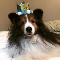 PET SHOW Pink Crown Dog Birthday Party Hat for Girls Reusable - Blue - image 4