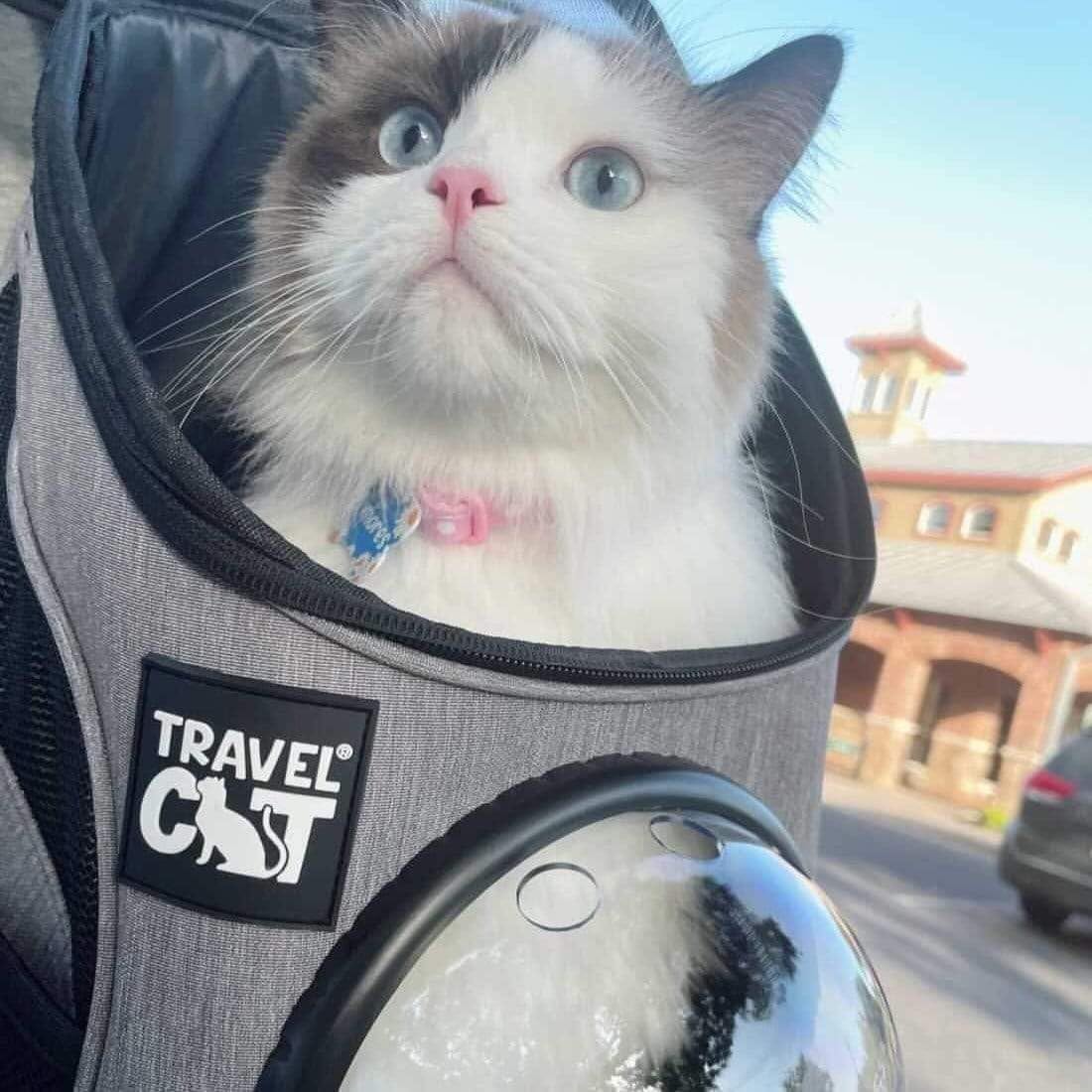 Fat Cat Backpack Carrier - Airline Approved Cat Carrier with Space Capsule Bubble for for Small - 10.0"L x 16.5"W x 13.0"H