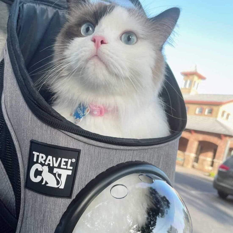 Fat Cat Backpack Carrier - Airline Approved Cat Carrier with Space Capsule Bubble for for Small - 10.0"L x 16.5"W x 13.0"H