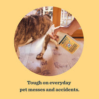 MRS. MEYER'S CLEAN DAY Pet Multi-Surface Cleaner - Orange Blossom (Pack of 2) / 16 Fl Oz (Pack of 2) - image 4