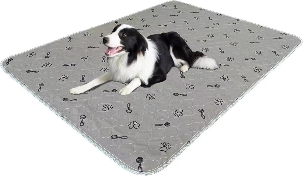 2Pack 36"x36" Pee Pads Washable Waterproof Rugs for Dog Training – Essentials for Dogs - 2Pack 36x48