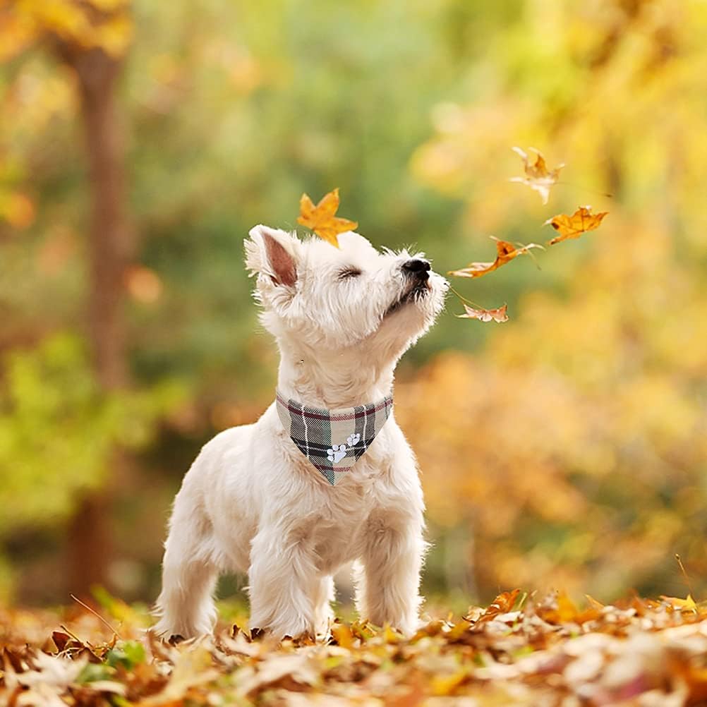Dog Collar and Leash Set - Embroidery Floral Dog Bow Tie and Bandana Collar with Bell, Cute Flower - Beige / S-M - image 4