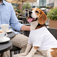 Lovelonglong Pet Clothing Dog Costumes Basic Blank T-Shirt Tee Shirts - D-XL (for Dachshund -30lbs) / White - image 2