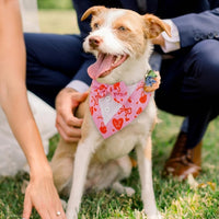 Dog Tuxedo for Small Dogs Valentines Bandana with Bowtie Wedding Tux – Essentials for Dogs - Heart / X-Small - image 2