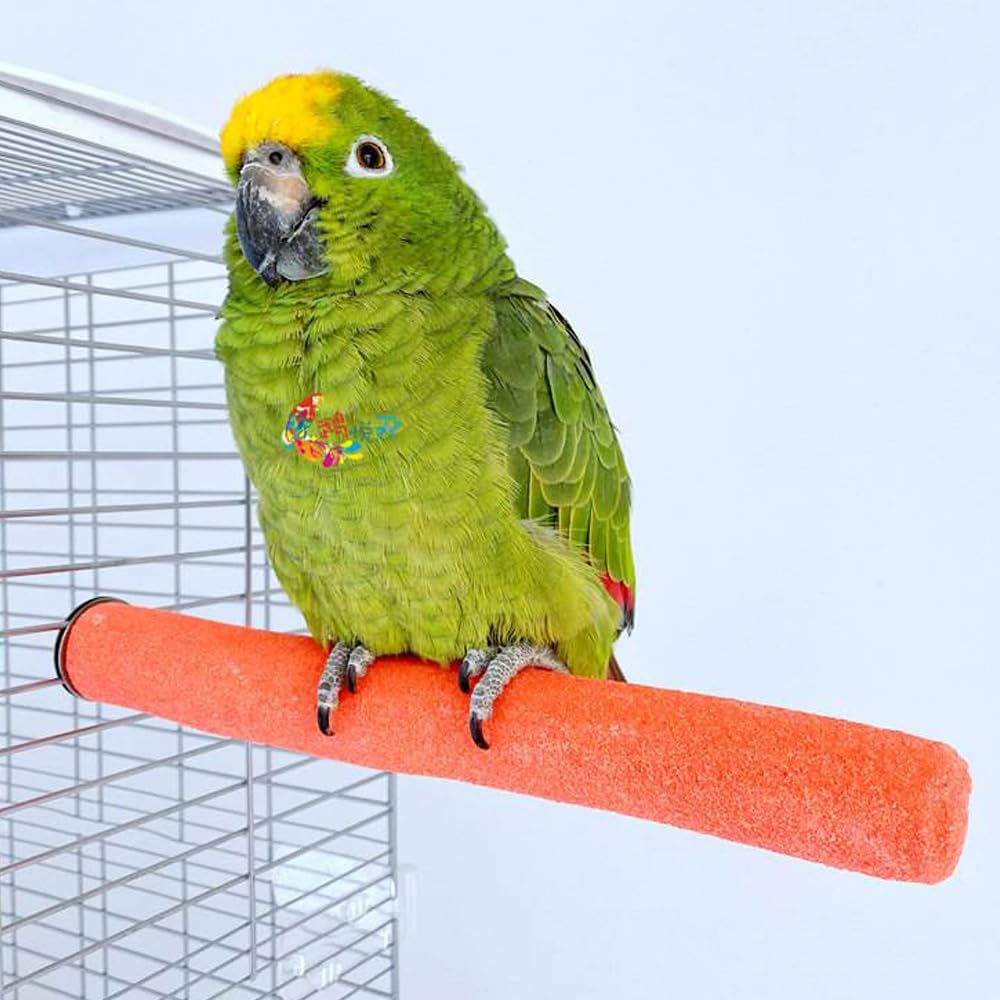 10 Pcs Parrot Perch Stand Bird Perch Stand Toy Colorful Paw Grinding - 20CM - image 4