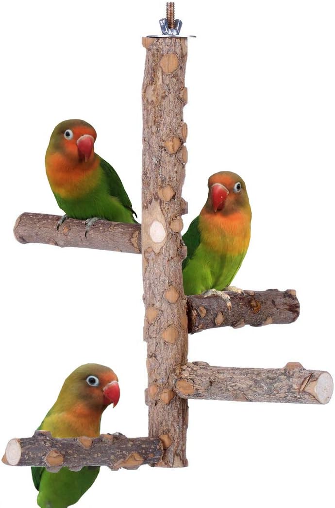 Bird Perch Nature Wood Stand for 3-4pcs Small Medium Parrots – Essentials for Birds - S