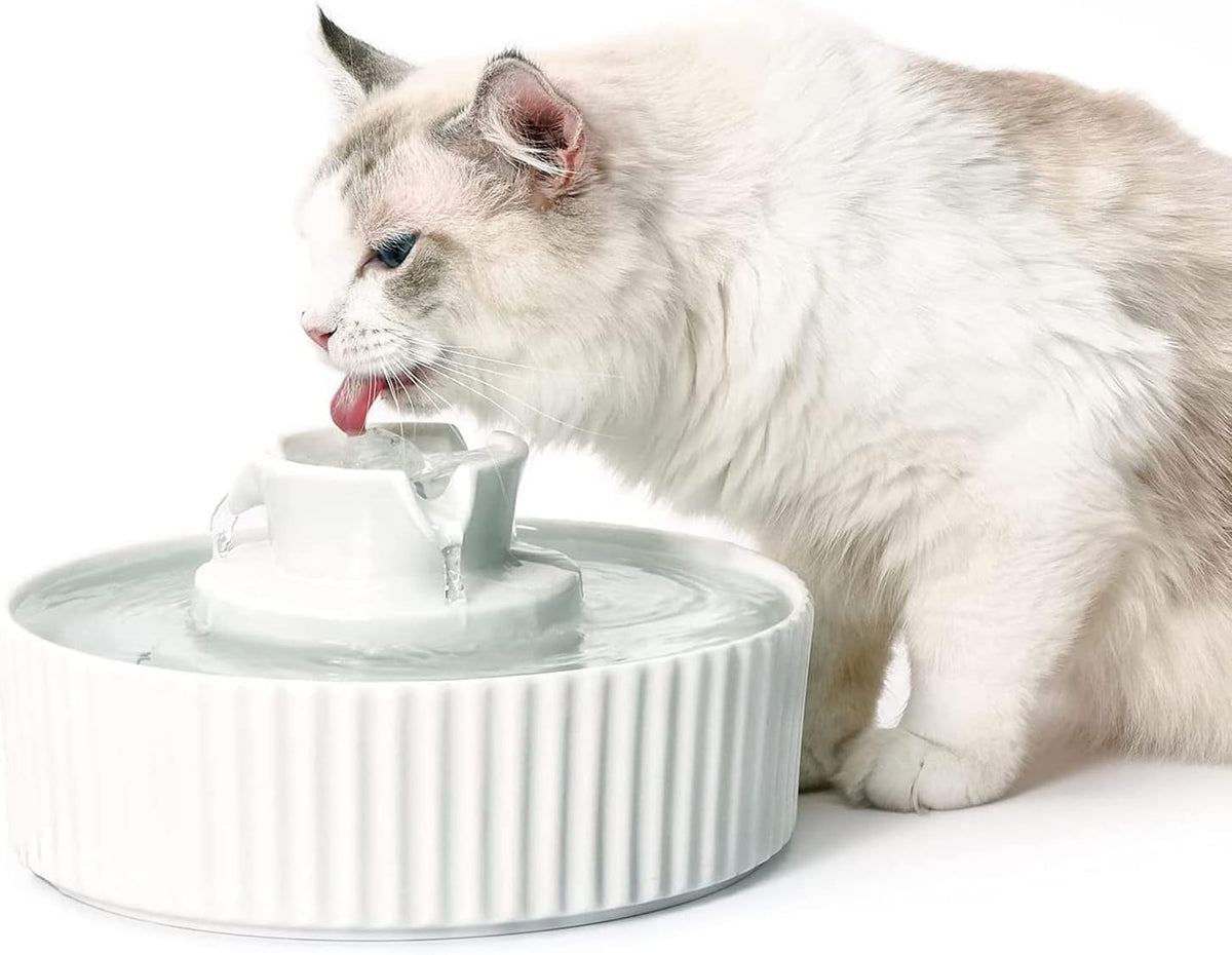 Upgrade 2.2L/78oz Ceramic Pet Fountain - 2.1L Ceramic-White