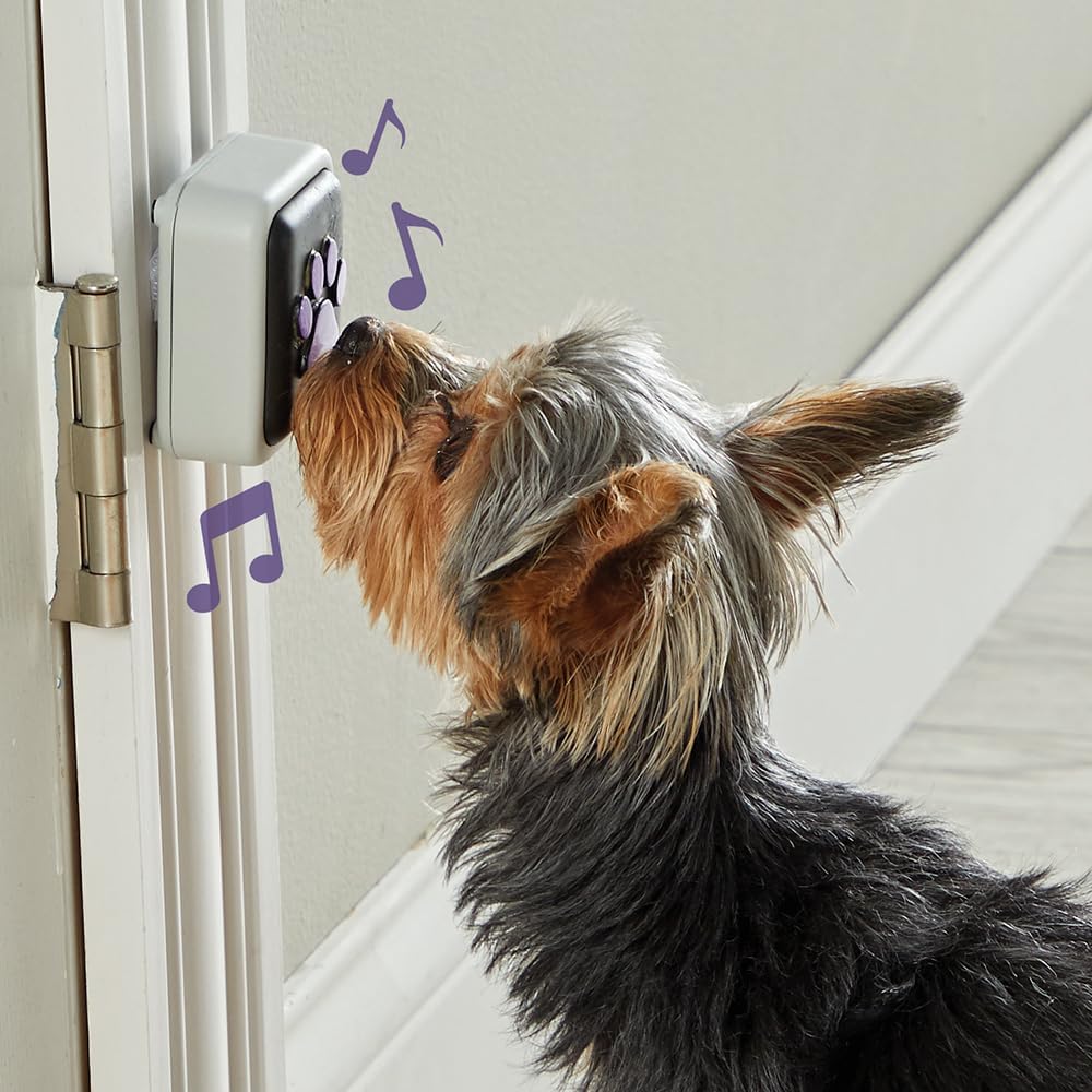 Hunger for Words Talking Pet Doorbell – Essentials for Dogs - image 2