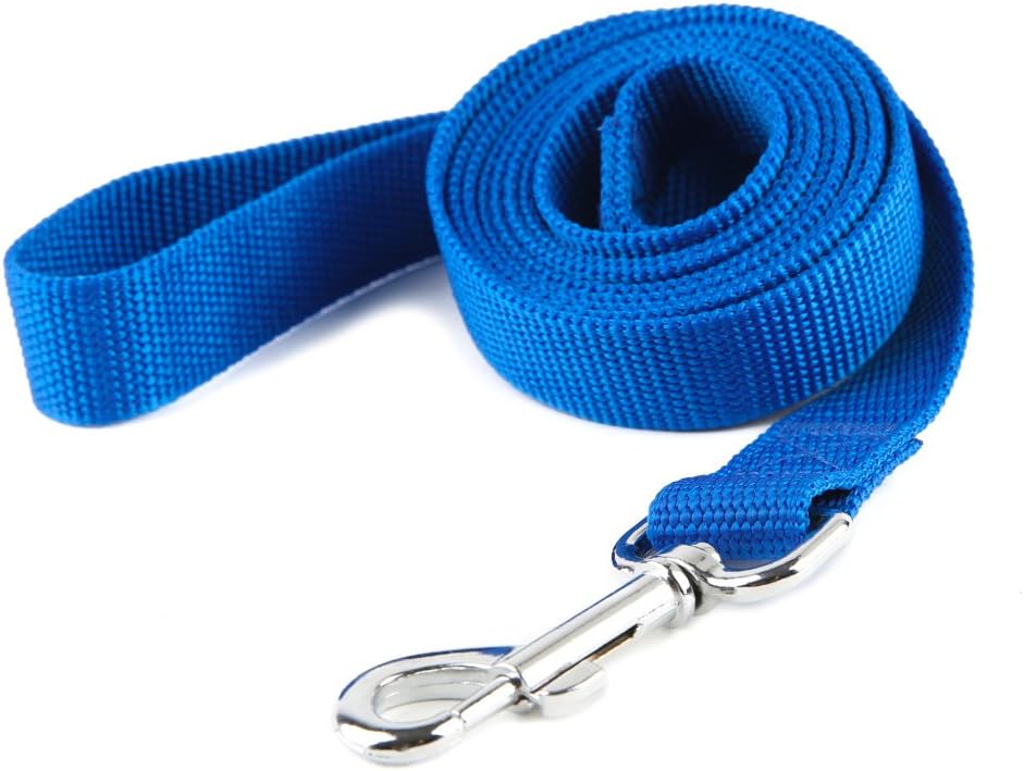 Nylon Dog Training Leash, Traction Rope - 1'' x 7 FT / Blue