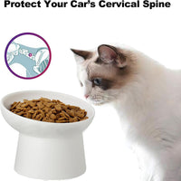 Elevated Cat Bowls, 15° Tilted Ceramic Raised Cat Food and Water Bowl Set, Whisker-Friendly - White / 6.2 Inch (Pack of 2) - image 4