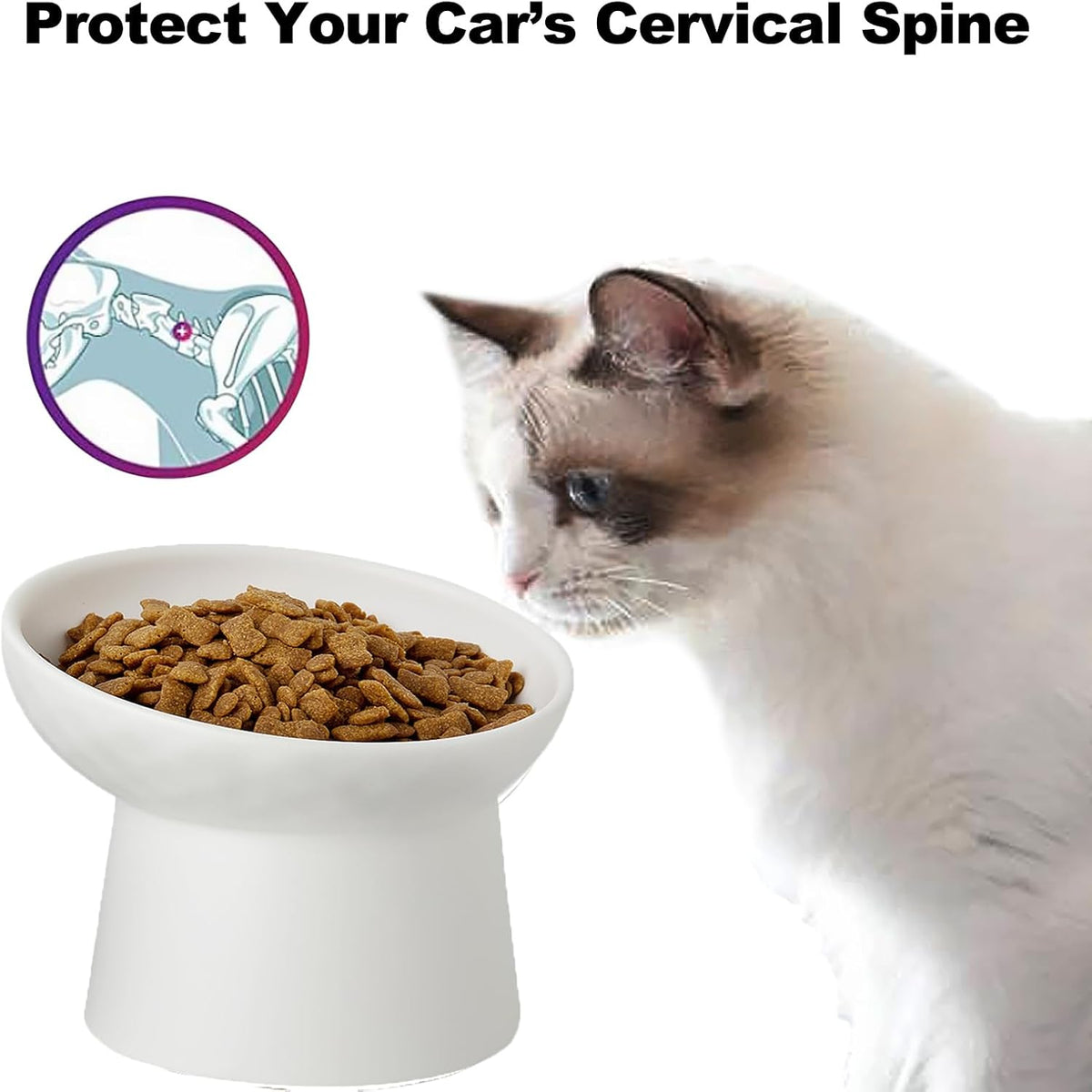 Elevated Cat Bowls, 15° Tilted Ceramic Raised Cat Food and Water Bowl Set, Whisker-Friendly - White / 6.2 Inch (Pack of 2) - image 4