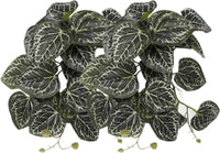 2Pack Reptile Plants for Terrarium - D-fake Anthurium Crystallinum