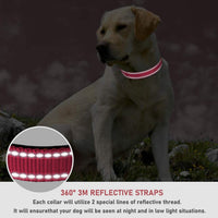 Reflective Dog Collar, Puppy Collar with Buckle Adjustable - Light Pink / XLarge :Width 1",Neck 16-26" - image 4