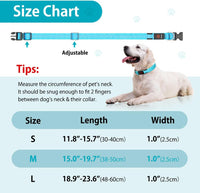 Light Up Collar for Small Dogs& Cats - M (15.0-19.7inch/ 38-50cm) / Blue - image 3