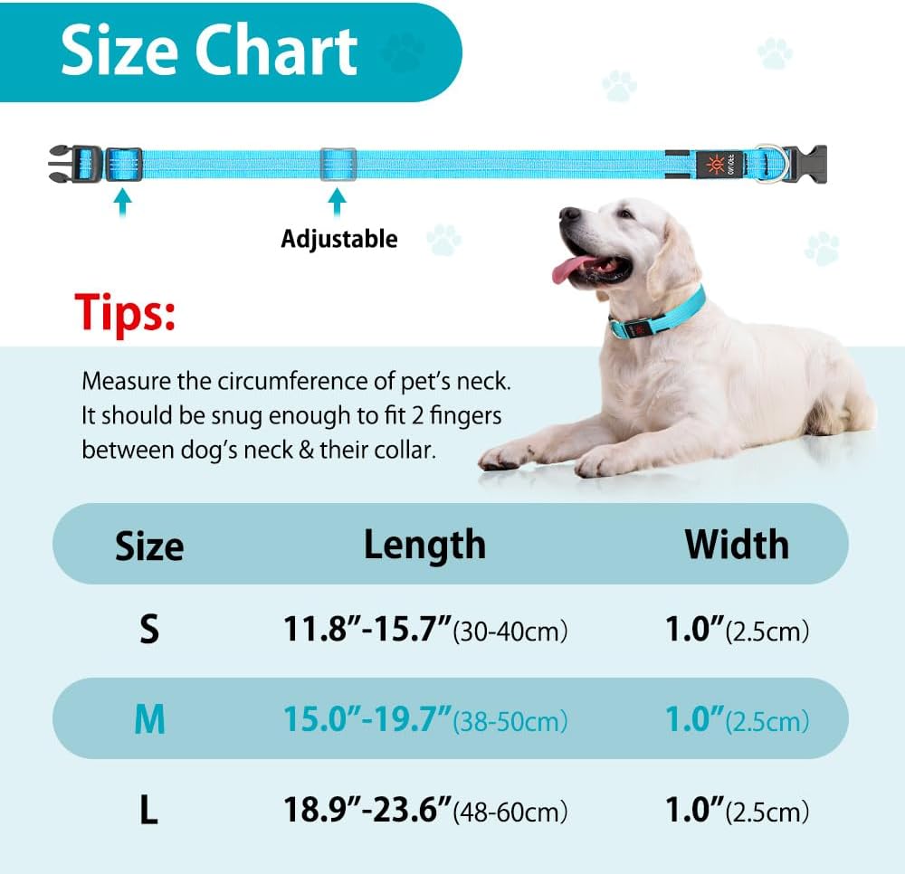 Light Up Collar for Small Dogs& Cats - M (15.0-19.7inch/ 38-50cm) / Blue - image 3
