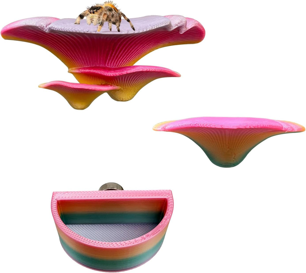 2 Pack Jumping Spider Accessories Mushroom Ledges & 1 Pack Water Bowl - colorful