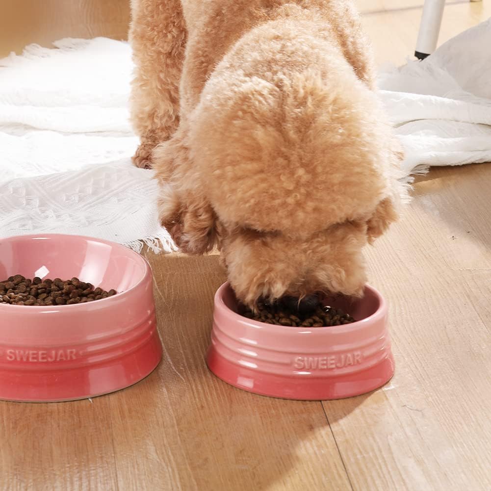 Sweejar Gradient Dog Bowl - Small (8oz) / Gradient Pink - image 3