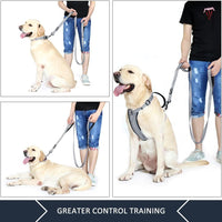 Plutus Pet Double Handle Dog Leash, for Medium Large Dogs - 6 FT / Gray - image 4