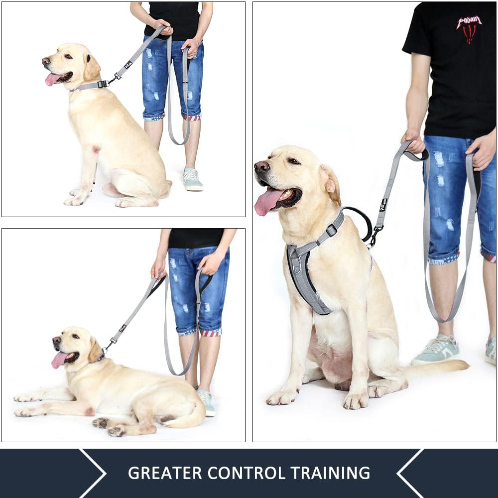 Plutus Pet Double Handle Dog Leash, for Medium Large Dogs - 6 FT / Gray - image 4