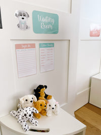 Vet Clinic Dramatic Play