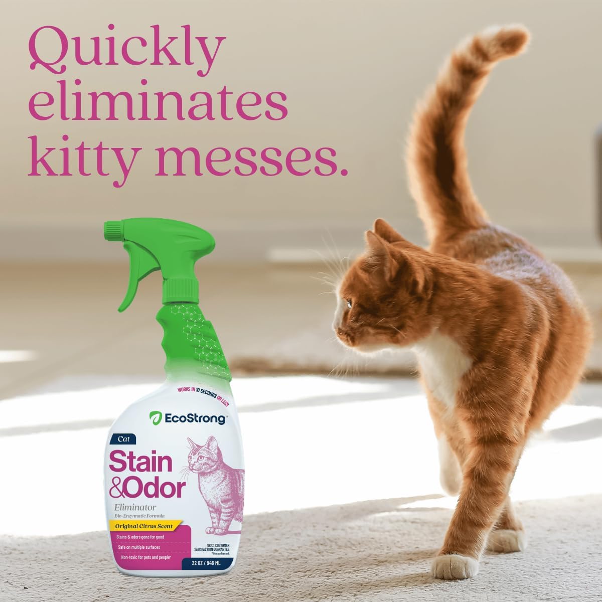 Eco Strong Cat Stain And Odor Remover - 32 Fl Oz (Pack of 1) - image 3