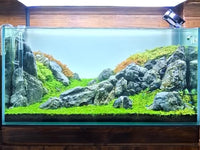 Aquarium Rocks Seiryu Stones Natural Hardscape Stone for Aquariums - Seiryu Stone / 5Lb (2-6 inch) - image 3
