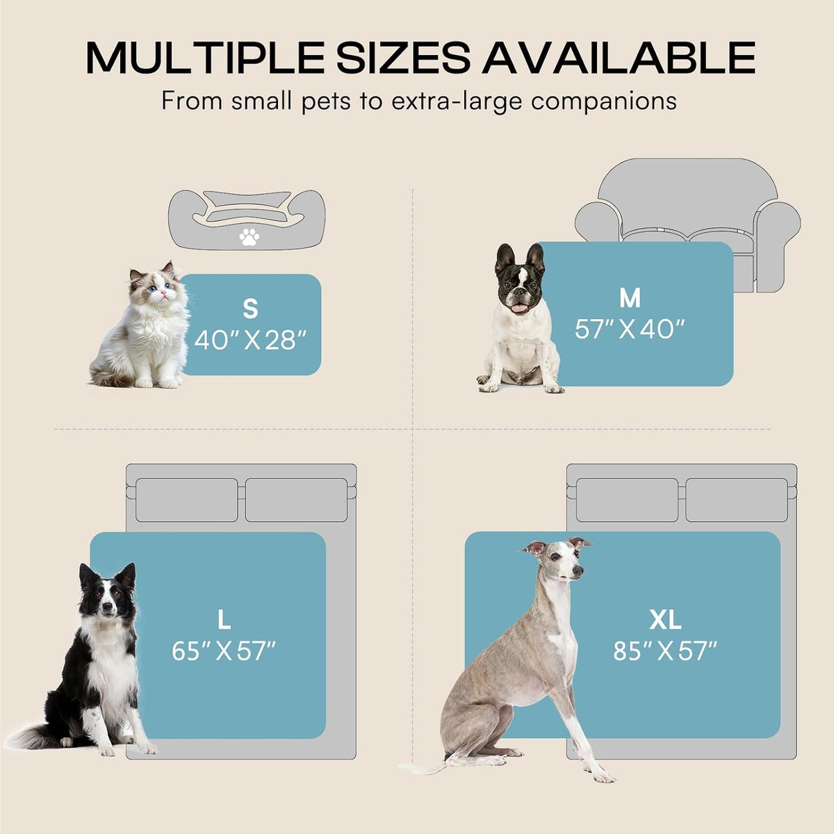 Luciphia Waterproof Blanket for Dog - Blue / S(40''x28'') - image 3