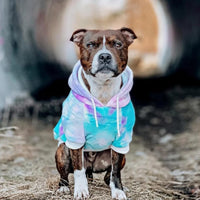 Spark Paws Dog Hoodie, Buttery-Soft Sweater Sweatshirt - 90s Retro Sky Dye / 5XL - image 2