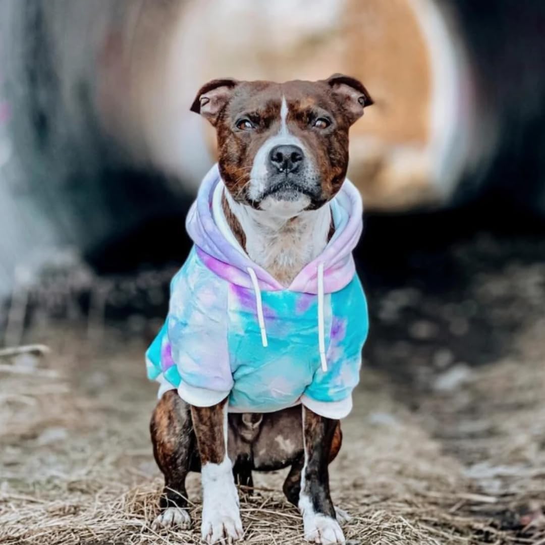 Spark Paws Dog Hoodie, Buttery-Soft Sweater Sweatshirt - 90s Retro Sky Dye / 5XL - image 2