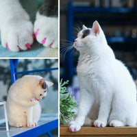 VICTHY 100pcs Cat Nail Caps - Large - image 3