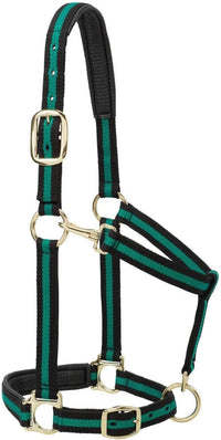 Weaver Equine Nylon Horse Halter, Triple-Ply Cheek Design, Original Non Adjustable Halters for Horses, Equine Tack,Average Size, Black