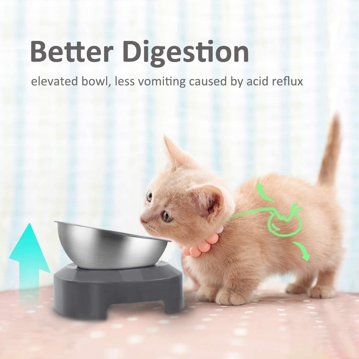 AYADA Raised Cat Food Bowl Stainless Steel 15 Degree Tilt – Essentials for Cats - Single - image 2