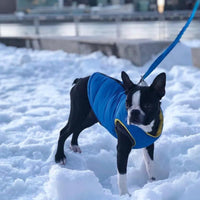 Gooby Padded Vest Dog Jacket, Solid Turquoise - Medium / Blue Solid - image 2